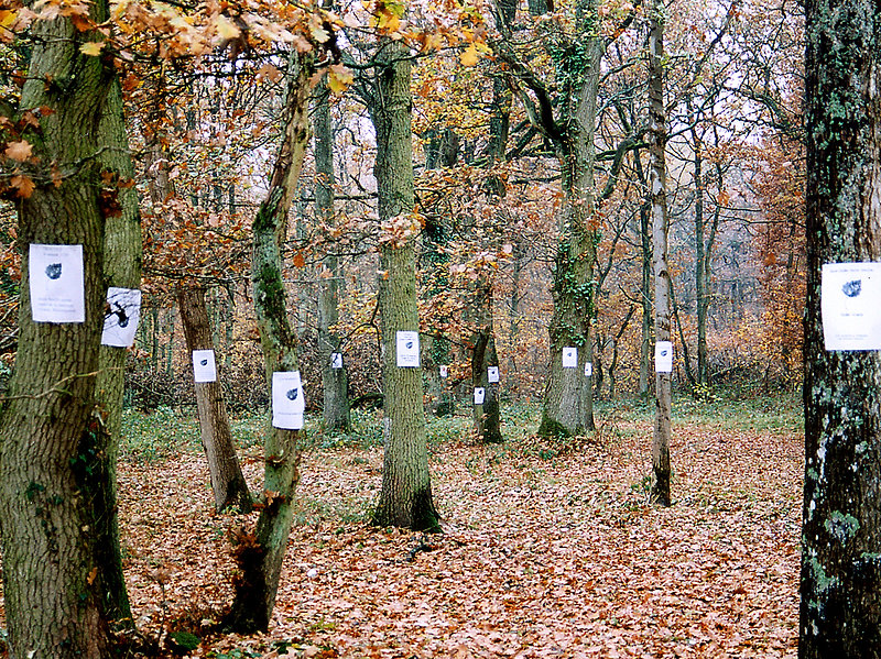 Feuilles mortes Installation au Parc de la Lion d'Or. Photocopies sur A4.